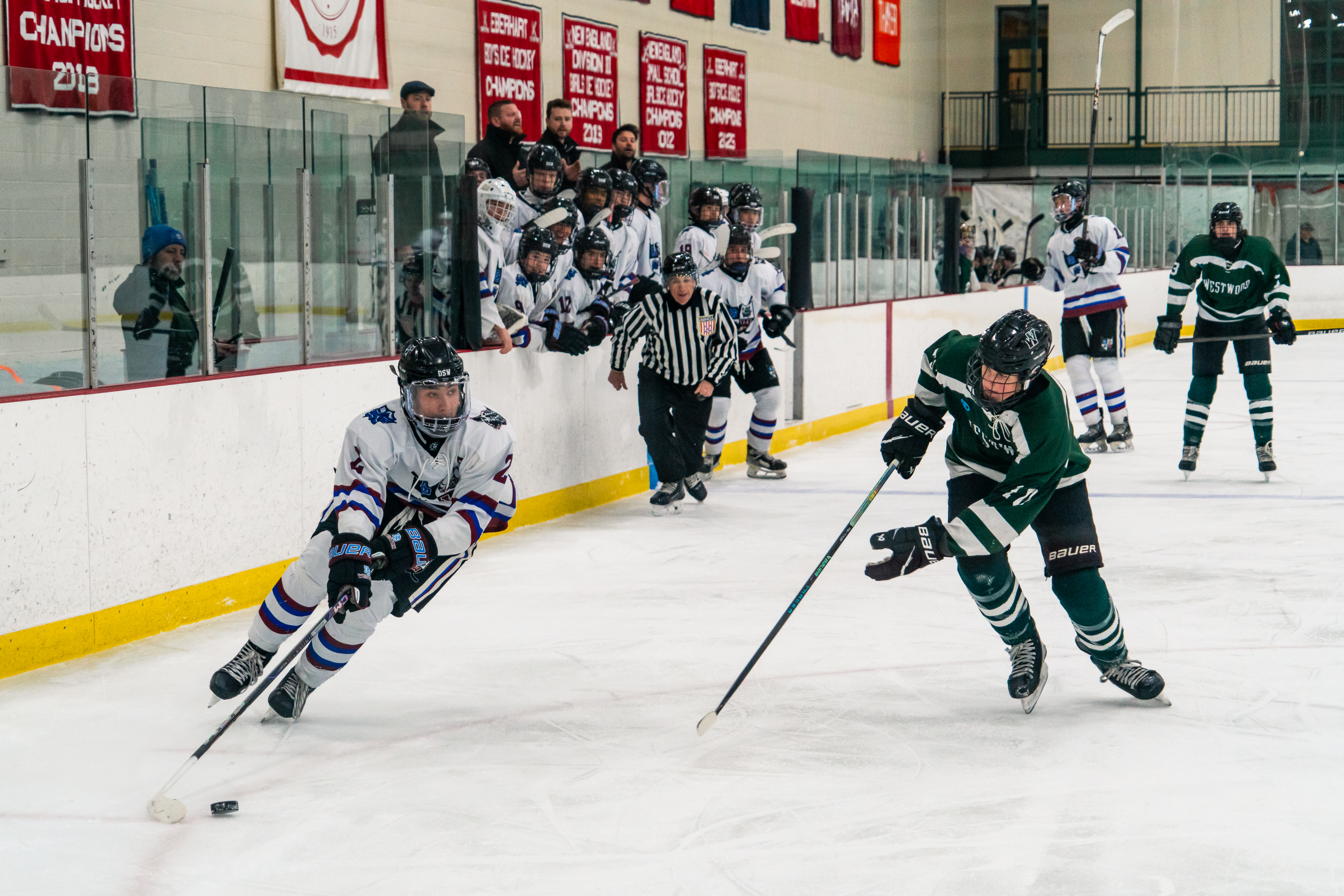 Hockey game action